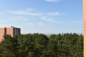 Blick Auf Die Nordsee